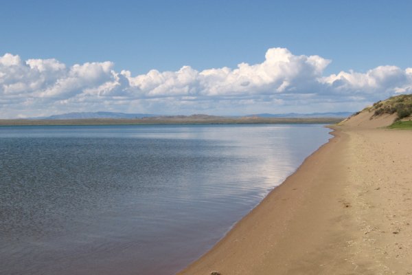 Даркнет сайт скачать