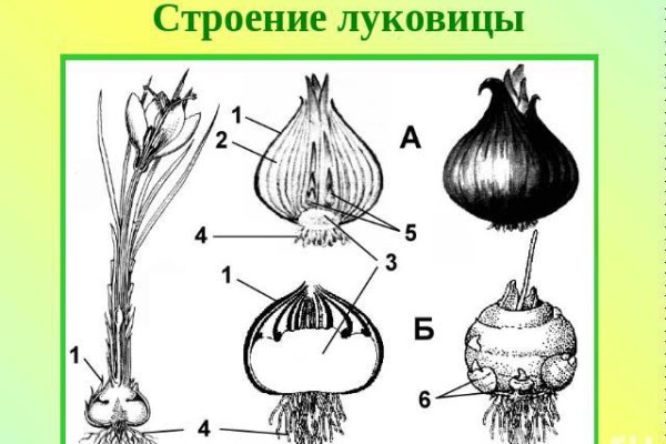 Как зайти на площадку кракен