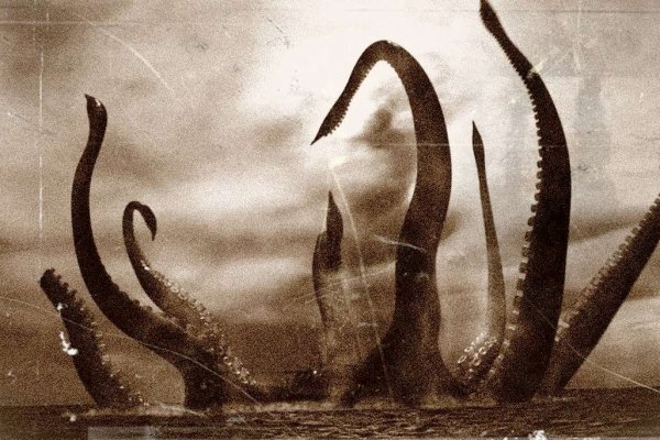 Kraken рабочее зеркало