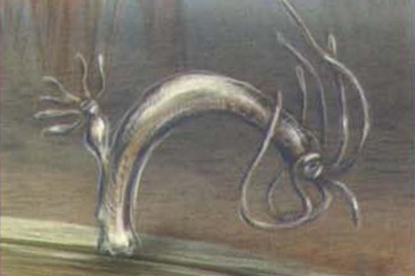 Kra39.cc Вход на сайт главная страница